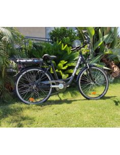 E-City Bike Pistidda 26"...