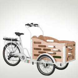 Cargo Bike Modello Classic...